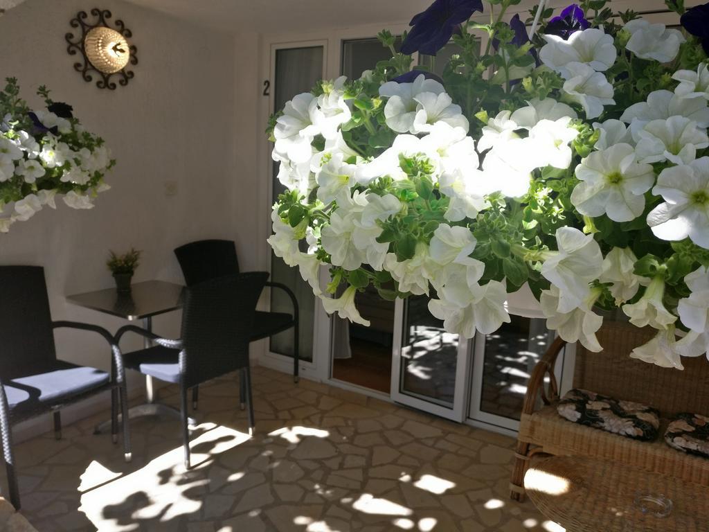 Apartments Ana - Ровинь Экстерьер фото